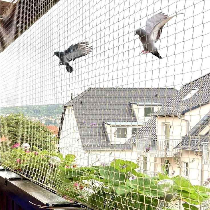 Bird Net Installation by NA Safety Nets